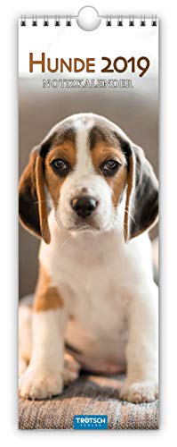 Streifenkalender Hunde 2019 Terminkalender Terminplaner Küchenkalender Tierkalender: mit Ringbindung