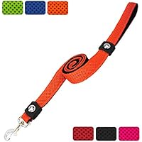 [Gesponsert]DDOXX Hundeleine aus Air-Mesh 120 cm | Hand-Schlaufe | für große, mittelgroße, mittlere & kleine Hunde | verschiedene Farben & Größen | Flexi-ble Hunde-Leine | Orange, XS - 1,5 x 120 cm