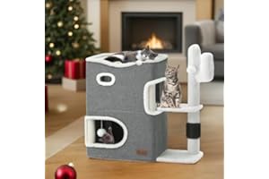 YITAHOME Niche pour Chat à 2 étages - pour l'intérieur - Tunnel pour Chat avec griffoir et Cube cachette - Joli Meuble Moderne pour Plusieurs Chats, Cactus (Gris)