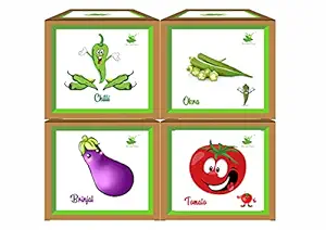 Sow and Grow DIY Easy Gardening 4 Vegetable Kits | Brinjal + Okra + Chilli + Tomato for Home and Garden (Grow it Yourself) Best Eco Friendly Kids Birthday Return Gift?, 4 Pieces