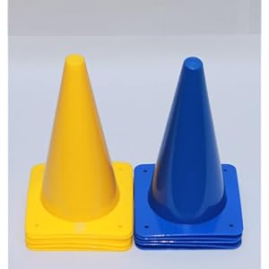 Pferdesport-Pylonen, 30 cm, 10 Stück (5x gelb, 5x blau)