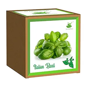 Sow and Grow Seed Starter Grow Kit of Italian Basil || DIY Easy Grow it Yourself Gardening Kit for Home and Garden || A Complete Beginner Gardeners Gardening Set