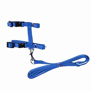 Arnés ajustable para gato de nailon duradero, correa de paseo para animales pequeños