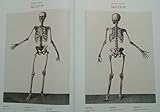 Image de Atlas anatomy. Ediz. multilingue (Fotografia 25)