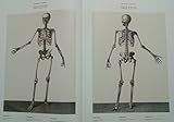 Image de Atlas anatomy. Ediz. multilingue