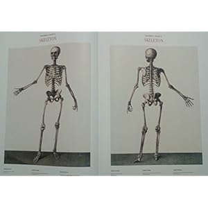 Atlas anatomy. Ediz. multilingue