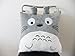 My Neighbor Totoro square pillow