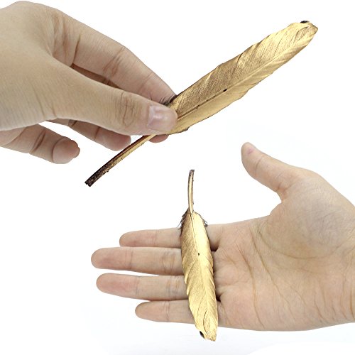 Coceca Goldene Feder 72 pcs, 10-15cm, für verschiedene Umgebung geeignet, als Verkleidung und Ausschmückung wie Geburtsparty, Hochzeit und Treffen - 5