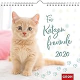 Für Katzenfreunde 2020: Dekorativer Wandkalender mit Monatskalendarium by 