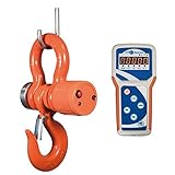  Gancho Grúa con Control Remoto Baxtran STP 3000 (3000Kgx1Kg)