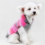 YiJee-Natale-Animale-Domestico-Vestiti-di-Inverno-Cane-Maglione-Cappuccio-Maglieria-Pullover