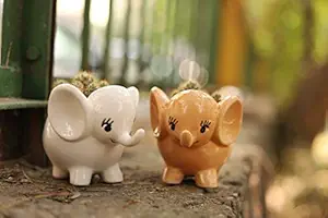 Lyallpur Stores Ceramic Shiny Finish White and Orange Handmade Little Elephant Pair Plant Container , Pack of 2