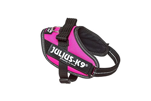 Julius-K9 IDC-Power Harnais pour Chien Rose Fuchsia Foncé Taille Mini