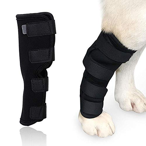 Buy KOBWA Dog Hock Brace, Dog Canine Rear Leg Hock Joint Wraps for