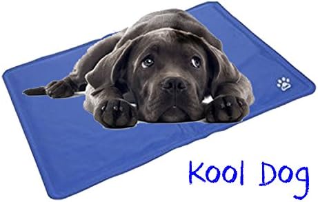 Dog Cat Pet cooler Cooling Cool Gel Mat Bed Pad 40 x 30cm Blue By Kool Dog