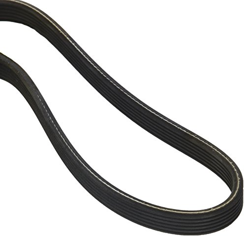 Preisvergleich Produktbild MAPCO 261815D Keilrippenriemen