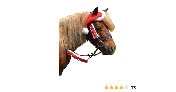 Y-H Hy Christmas Santa Horse Hat PR 
