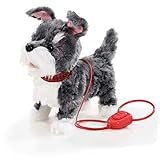 Dieses charmante Hündchen liebt es mit Dir spazieren zu gehen