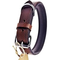 [Gesponsert]Schnüffelfreunde Hundehalsband aus Leder (S - 24-30cm, Braun)