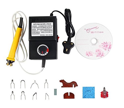 HTDirect 220V Pyrography Wood Burning Tool with 8Pcs Pyrography Nib Portable Professional Wood Burning Kit for Wood Burning Dual Pen Pyrography Tool