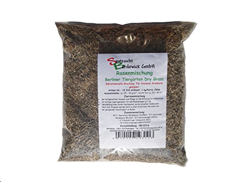 Dürreresistente Rasenmischung Berliner Tiergarten 1kg für ca. 30 m²