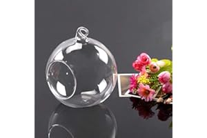 ausuky Vase en verre à suspendre pour terrarium - Décoration d'intérieur (L)