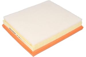 FILTRON AP196/8 Filtro Aria