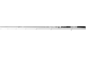 DAIWA Exceler Solidtip Spin, Canne à Pêche Spinning UL