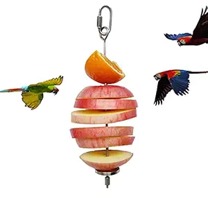 Bird Food Holder, Bird Feeder Toy, Foraging Toy, Bird Food Treat Skewer, Stainless Steel Parrot Fruit Vegetable Stick Holder (L)