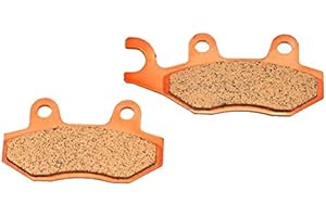 MOTORSPORTGOETZ SMC Ersatzteil für/kompatibel mit Barossa 170 250 Bremsbeläge hinten Stinger Sintermetall