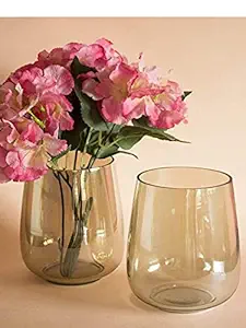 DECENT GLASS Glass Flower Vase Luster (8 x 8 inch, Amber) (Medium)