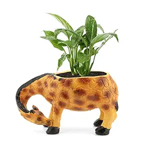 Zart Home Decor and Home Decorative Polyresin Plant Pot/Vase for Office Reception, Living Room, Perfect for Gifting