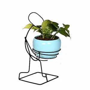 HINS Black Stand Human Holding Pot Plant Holder Flower Vase For Indoor Gardening (Style 6, Skyblue) Plant Stands For Indoor Balcony I Plant Bench I Plant Stands I Pot Stand Single I Potted Plant Stand I Big Pots I Metal Plant Stand I Tall Outdoor Planter I Metal Casters I Large Plant Stand I Pot Stands For Garden I Indoor Plants Stand I Iron Plant Stand I Terrace Garden Stand I Garden Rack I Iron Stand For Pots I Pots Stand I Indoor Planter With Stand I Metal P