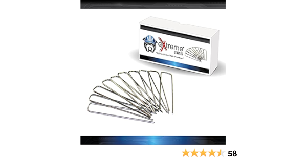 amazon extreme dog fence