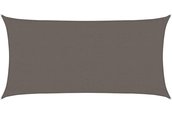 vidaXL Toldo Parasol Lona Protector Solar Sombra de Patio Jardín Terraza Balcón Parque Infantil Exterior de Vela Gris Antracita HDPE 160 g/m² 3x6 m