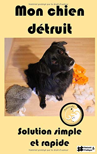 Télécharger Mon chien détruit: Solution simple et immédiate livre En ligne