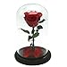 Produktbild Yacn „Die Schöne und das Biest“-Rose, unsterblich und unvergänglich, konservierte Rose unter einer Glasglocke, einzigartiges Geschenk für Weihnachten, Muttertag, Hochzeitstag, Geburtstag rot