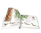 Image de Das Eichhörnchen: Meyers Kinderbibliothek 59