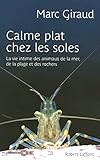 Image de Calme plat chez les soles