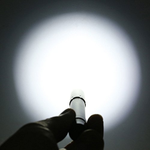 ThorFire LED Taschenlampe,PF04 Mini Taschenlampe MAX 210 Lumen Feder Licht Mini EDC Taschen Licht Taschenlampe,Verbesserte Version (Zwei AAA-Batterien Nicht Eingeschlossen) - 6