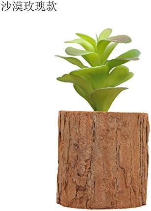 qwer Creative Brief about three-dimensional wall plants wall hangings emulation fleshy tree stumps combination background decorative home wall decoration wall decoration , desert rose)