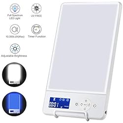 Lampe de Luminothérapie SAD, Lumière naturelle du jour portable, 10000 lux, avec minuterie sélective et gradation, lampe semblable à la lumière du soleil avec écran, spectre complet sans UV