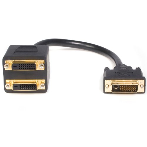 StarTech.Com DVISPL1DD DVI-D auf 2x DVI-D 30 cm Splitter Kabel