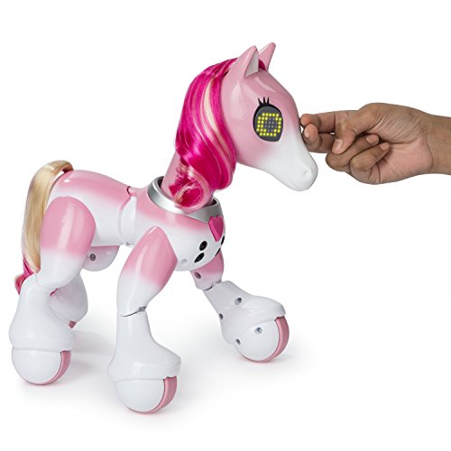 41pZ1RD67aL Zoomer - 6036997 - Pony