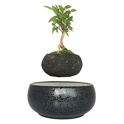 Levitating potted magnet schwimmenden Topf Luft Bonsai Baum Keramik Blumentopf - 5