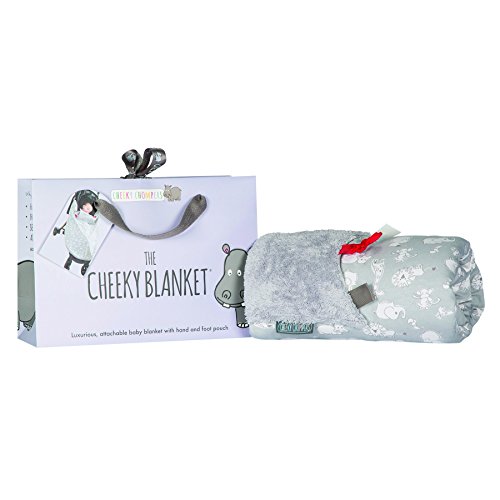 Cheeky Chompers Cheeky Blanket - Soft Fleece Hand and Foot Pouch and Sensory Tags in Chewy and Co Design