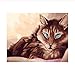 Produktbild kdbshfm Malen nach Zahlen Calm Cat New DIY Digitale Ölfarbe Zeichnung Färbung nach Zahlen Leinwand handgemaltes Bild Wanddekor Handwerk-Mit gestaltetem
