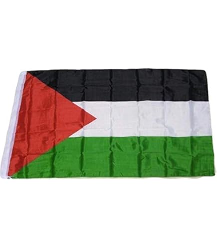 Bandiera D'ondeggiamento Del Sahara Occidentale E Dell'UE Immagine