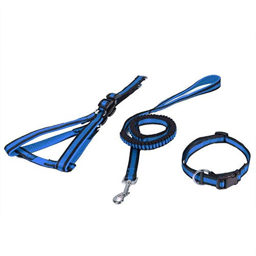 LeerKing Pet Collar Harness Lead Set Adjustable & Retractable Durable Nylon Leash Set for Small Medium Large Dog Pack of 3 Blue-Black M