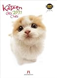 Katzen - Hanadeka 2011 by 